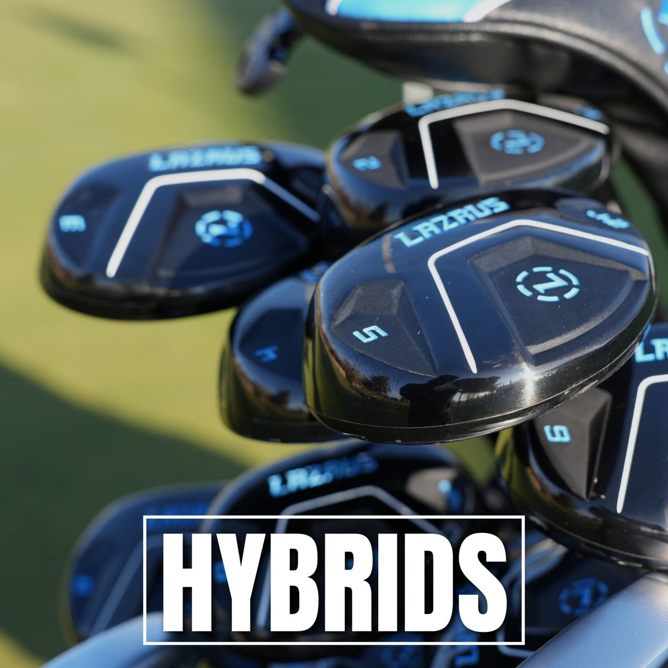 Hybrids